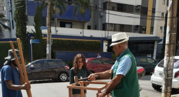 Programa Goiânia + Verde facilita plantio de árvores em calçadas